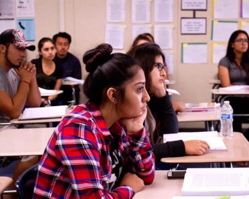 Cómo es la carga académica de Psicología en la Universidad de Concepción durante los dos primeros años